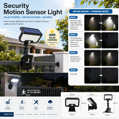 Security  Motion Sensor Light