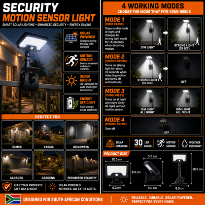 Security  Motion Sensor Light